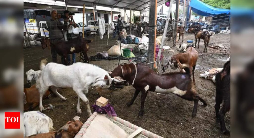 एमपीसीबीने पीसीबीला कत्तलखान्यात कत्तलखान्या बंद केल्याबद्दल नोटीस दिली आहे