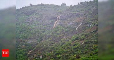 खाजगी ऑपरेटर महत्वाकांक्षी लोनावला ग्लास स्कायवॉक प्रकल्प चालविण्यात रस दर्शवितात