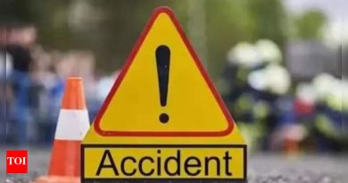 महाराष्ट्र: नंदुरबारमधील चांदशाली घाटात वाहन कोसळून 8 ठार, 8 जखमी