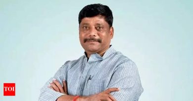 धंगेकरांनी खासदार मेधा कुलकर्णींवर निशाणा साधला, भाजपकडून सेनाप्रमुखांवर कारवाईची मागणी | पुणे बातम्या