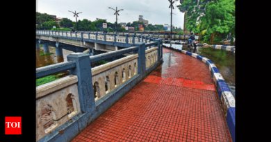 पीएमसीच्या मर्यादेतील १७ इमारतींमधील पूल, अंडरपास आणि उड्डाणपूल दुरुस्तीसाठी