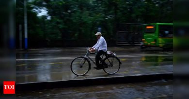 IMD ने महाराष्ट्राच्या काही भागांसाठी ताजा पिवळा अलर्ट जारी केला; पुण्यात पावसाची शक्यता