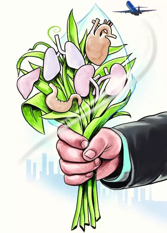 भारत भेटीवर आलेल्या ऑस्ट्रेलियन नागरिकाला स्ट्रोकनंतर ब्रेन डेड घोषित; कुटुंबाने चार जीव वाचवण्यासाठी अवयव दान केले