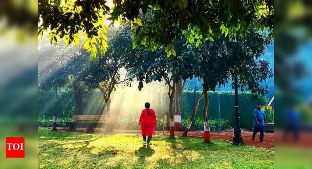 कोरड्या वायव्येकडील वाऱ्यांमुळे पुणे जिल्ह्यात तापमान एक अंकीपर्यंत पोहोचते