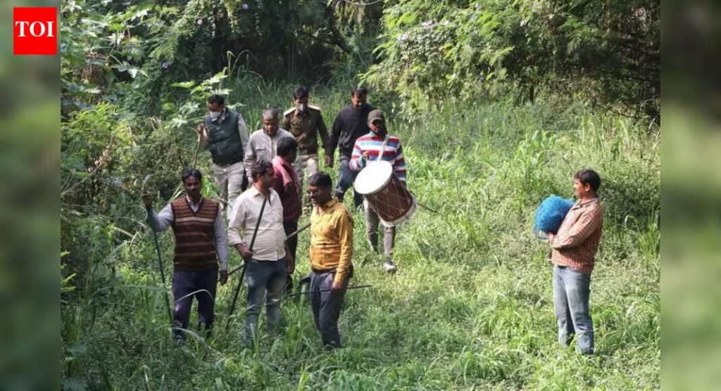 वडगाव शिंदेला बिबट्याची दहशत; वन अधिकाऱ्यांना कोणतेही पुरावे सापडत नाहीत