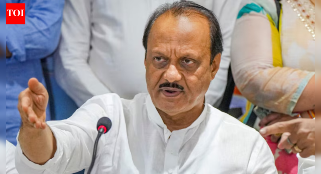 ‘तुमच्याकडे मते आहेत, माझ्याकडे निधी आहे’: अजित पवार बारामतीच्या मतदारांना सांगतात; पोलिसांना ‘खुर्च्यांची व्यवस्था करा’ सांगितल्यानंतर आणखी एक रांगा