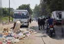 पुण्यातील कचऱ्याचे ढिगारे भटक्या गुरांना आकर्षित करतात, वाहतूक कोंडी आणि अपघात पुण्यातील कचऱ्याचे ढिगारे भटक्या गुरांना आकर्षित करतात, वाहतूक कोंडी आणि अपघात