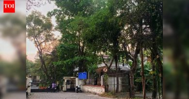 मुळा नदीकाठी असलेल्या संरक्षण जंगलातून बिबट्या औंधपर्यंत पोहोचला असावा: वन्यजीव तज्ञ