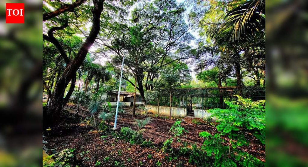 पार्थ पवार यांच्या फर्मने मुंढवा जमीन व्यवहारात मुद्रांक शुल्कात सूट मागितली, २० कलमी औचित्य दिले; 5-6 दिवसात अंतिम ऑर्डर होण्याची शक्यता आहे