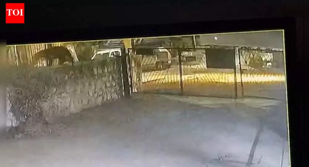 सुतारवाडी सोसायटीत बिबट्या दिसल्याची खात्री; वन विभाग पाषाण तलाव झोन शोधतो