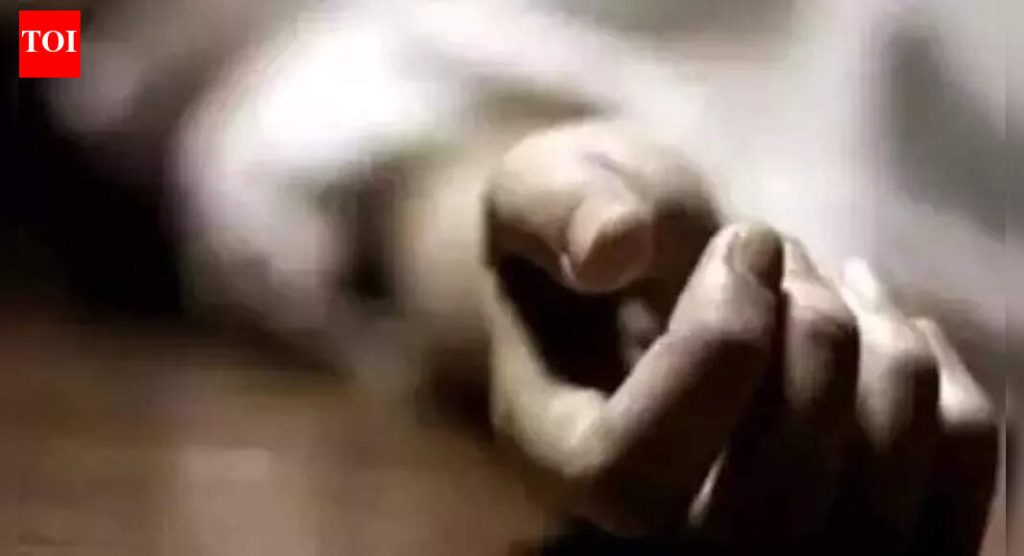 शिक्रापूर येथे पुणे-नगर महामार्गावर ट्रॅक्टरने स्कूटरला धडक दिल्याने 12 वर्षीय मुलाचा मृत्यू झाला.