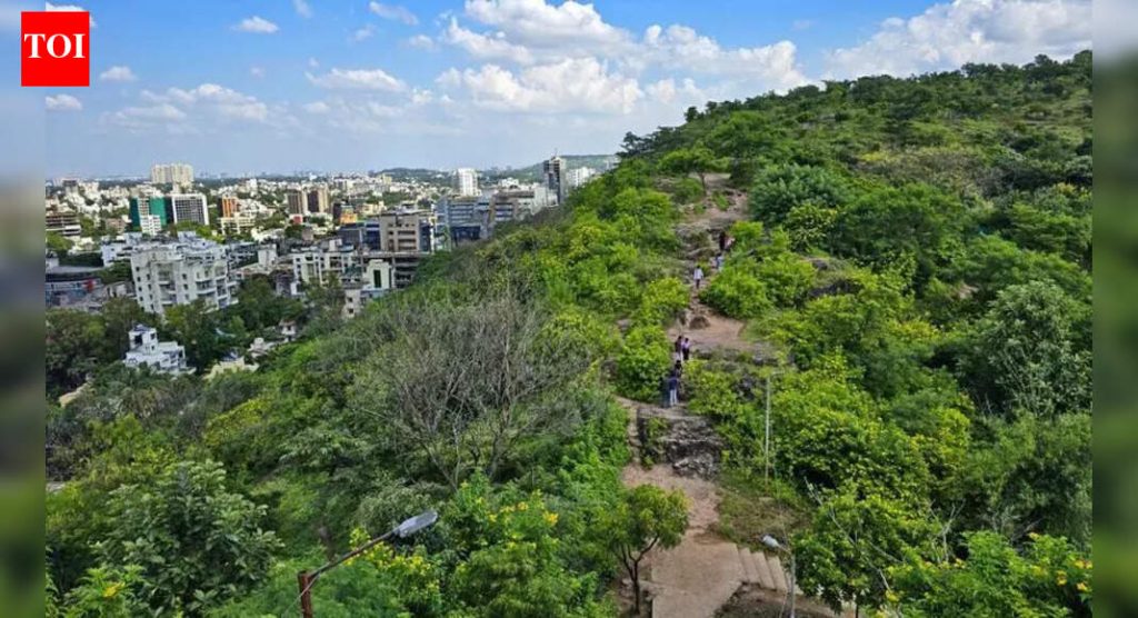 Why is environment not on any politician’s agenda before the civic polls in Pune?