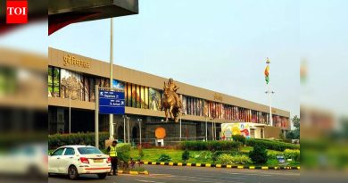 पुणे विमानतळावर आंतरराष्ट्रीय आगमनासाठी ग्रीन चॅनल पुन्हा सुरू करण्यात आली