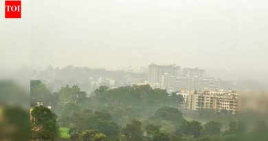 धुके आणि आर्द्रतेमुळे पुण्यातील रात्रीच्या तापमानात वाढ झाली आहे