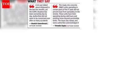 हिंजवडीतील तंत्रज्ञांनी निवडणुकीपूर्वी आयटी पार्कमध्ये जागतिक दर्जाच्या पायाभूत सुविधांची मागणी केली आहे