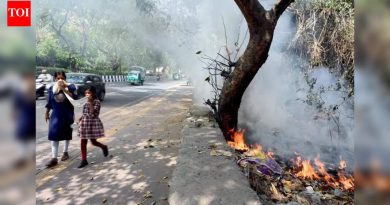 2024 च्या तुलनेत 2025 मध्ये पुण्यात कचरा जाळण्याच्या घटनांमध्ये 20% वाढ झाली आहे