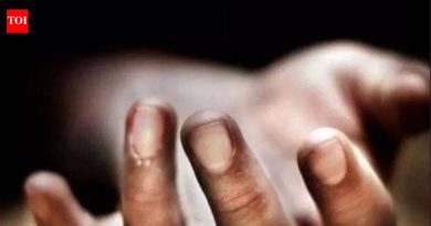 चाकण येथे मोटारसायकलने वृद्धाला धडक दिली