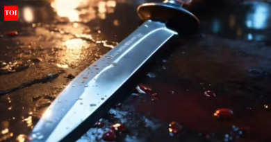 पुण्यात वादातून डिलिव्हरी एजंटने पत्नीचा भोसकून खून केला; जोडपे 2 महिने वेगळे राहतात | पुणे बातम्या