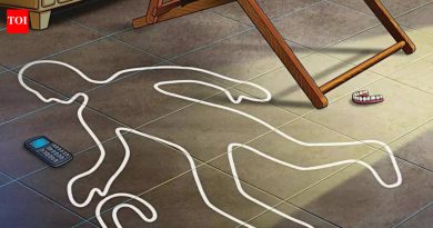 पाषाण रोडवर मॉर्निंग वॉकसाठी निघालेल्या ७३ वर्षीय महिलेचा मृत्यू पुणे बातम्या