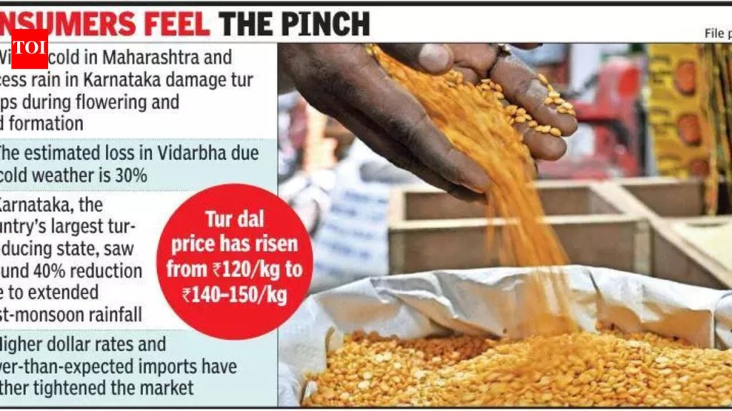 राज्यात तूर पिकाला थंडीचा फटका; कमी पुरवठ्यात किंमत वाढते | पुणे बातम्या