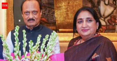 महाराष्ट्राच्या उपमुख्यमंत्री सुनेत्रा पवार, बारामतीची ‘वाहिनी’, शांत संकल्पाने सावलीतून बाहेर पडली | पुणे बातम्या