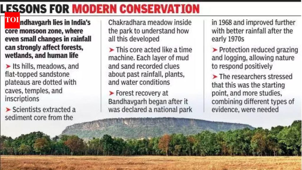 60 सेमी गाळाचा भाग स्पष्ट करतो की मध्य भारतातील प्राचीन समाजांनी हवामान बदलाशी कसे जुळवून घेतले