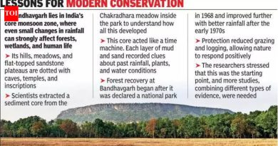 60 सेमी गाळाचा भाग स्पष्ट करतो की मध्य भारतातील प्राचीन समाजांनी हवामान बदलाशी कसे जुळवून घेतले