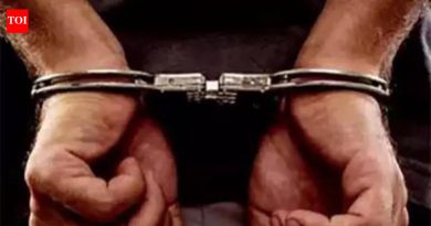 रावेत पोलिसांनी गुन्हेगाराला अटक, देशी बनावटीचे पिस्तूल आणि काडतूस जप्त