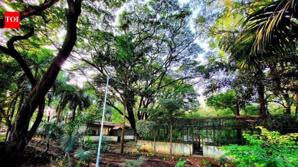 मुंढवा जमीन व्यवहाराशी संबंधित दोन अधिकाऱ्यांना बडतर्फ करण्याचे सरकारचे वजन, कायदेतज्ज्ञांनी सावधगिरी बाळगण्याचे आवाहन केले