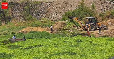 झेडपी आणि पीएमआरडीएमधील 20 गावांमधील प्रक्रिया न केलेले सांडपाणी पवना प्रदूषणाचे प्रमुख स्त्रोत मर्यादित करते: पॅनेलने एनजीटीला अहवाल दिला