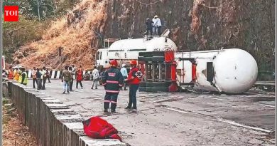 मुंबई-पुणे एक्स्प्रेस वे विस्तारीकरण प्रस्तावाचे तृतीय पक्ष पुनरावलोकन