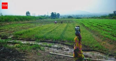 पुरंदर विमानतळ भूसंपादनासाठी MIDC 10 दिवसांत आर्थिक कर्ज देणार आहे