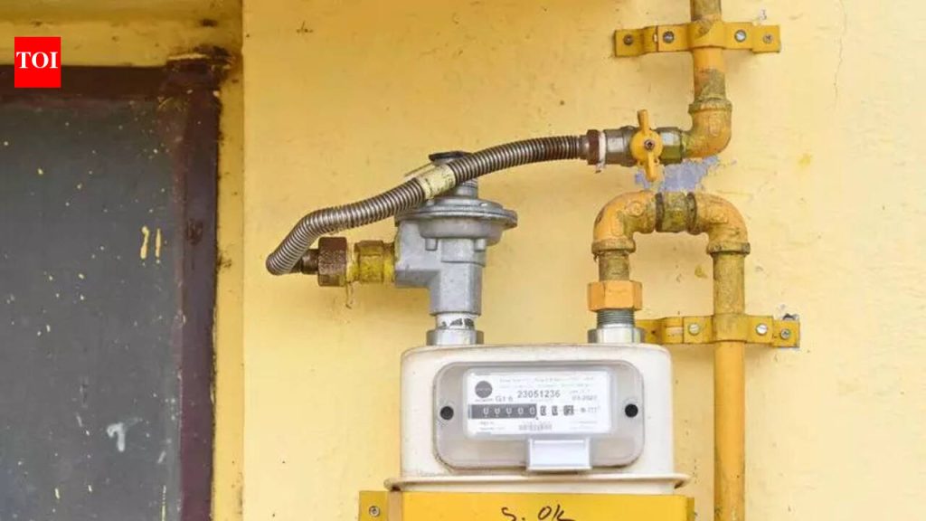 पीएमसी आणि पीसीएमसी भागात पाइप्ड गॅस आणि सीएनजी पुरवठ्यात कोणताही व्यत्यय नाही: MNGL