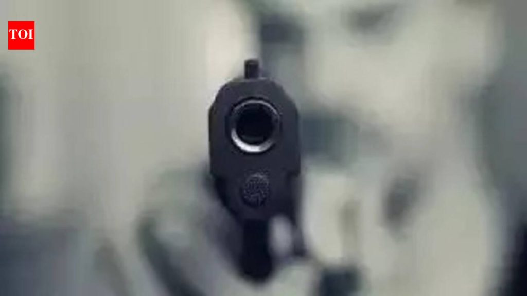 विचित्र गोळीबारानंतर बंदुकीच्या दुकानाचा परवाना रद्द करण्याचा प्रस्ताव पोलिस