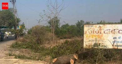 रस्ता रुंदीकरणासाठी 700 हून अधिक झाडे तोडल्याबद्दल हिरव्यागारांनी एनजीटीकडे संपर्क साधला