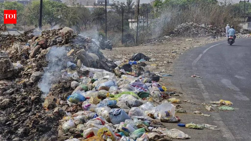 चाकण गावाजवळ भटक्या कुत्र्यांच्या हल्ल्यात महिला जखमी