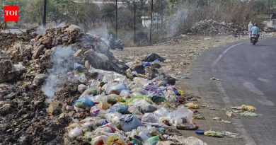 चाकण गावाजवळ भटक्या कुत्र्यांच्या हल्ल्यात महिला जखमी