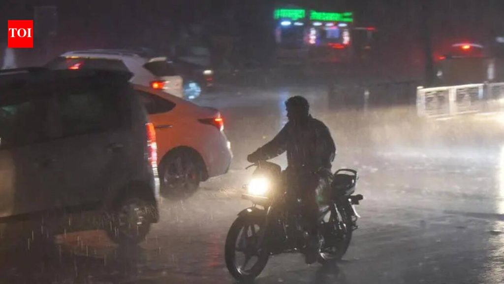 महामध्ये पावसामुळे झालेल्या दुर्घटनेत चार जणांचा मृत्यू; 28 जिल्ह्यांमध्ये 64,573 हेक्टरवरील पिकांचे आणि फळांचे नुकसान झाले आहे