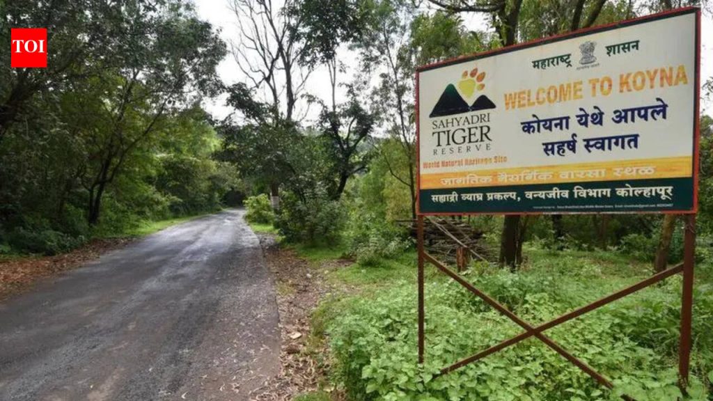 सह्याद्री व्याघ्र प्रकल्पातील वन्यप्राण्यांच्या हल्ल्याची शक्यता असलेल्या शाळांची ओळख पटवा, मुलांना सुरक्षित वाहतूक द्या : हायकोर्ट