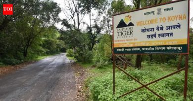 सह्याद्री व्याघ्र प्रकल्पातील वन्यप्राण्यांच्या हल्ल्याची शक्यता असलेल्या शाळांची ओळख पटवा, मुलांना सुरक्षित वाहतूक द्या : हायकोर्ट