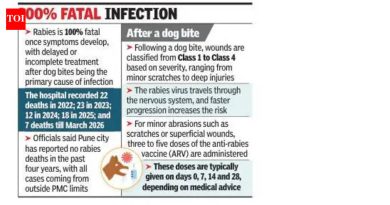 22 पासून नायडू हॉस्पीटलमध्ये 82 रेबीज प्रकरणे ग्रामीण आरोग्य सेवेतील मोठी कमतरता दर्शवितात