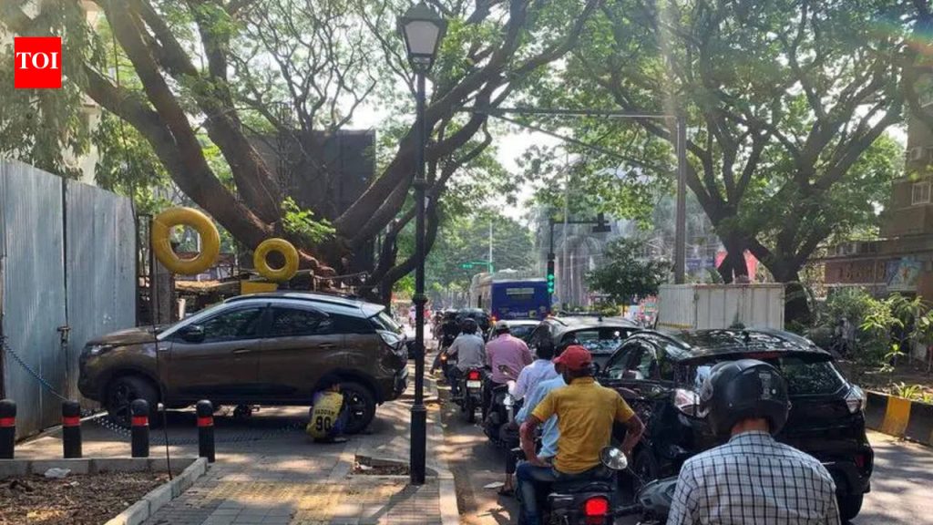 हरित सेतू वाहनचालक आणि पादचारी दोघांनाही अपयशी ठरतो, असे निगडीतील रहिवाशांचे म्हणणे आहे