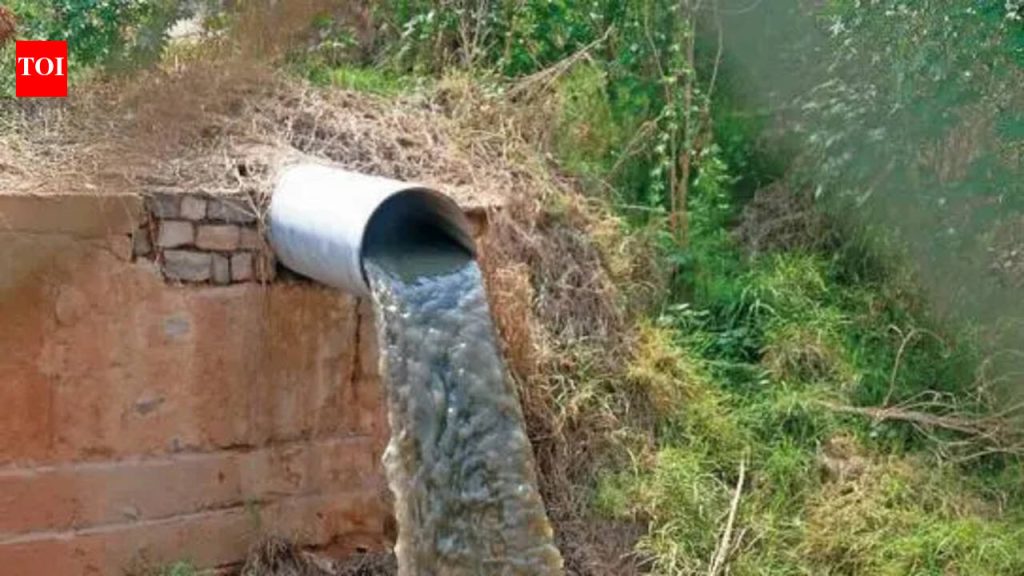 एमपीसीबीने पीएमसीला सांडपाणी प्रक्रिया समस्या सहा महिन्यांत सोडवण्याचे निर्देश दिले आहेत