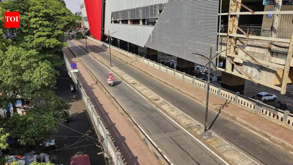 झेड-ब्रिज महिनाभर रात्री वाहतुकीसाठी बंद राहणार आहे