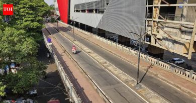 झेड-ब्रिज महिनाभर रात्री वाहतुकीसाठी बंद राहणार आहे