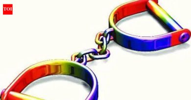 77 लीटर चांदी, कृत्रिम दागिन्यांची चोरी करताना 4 पकडले