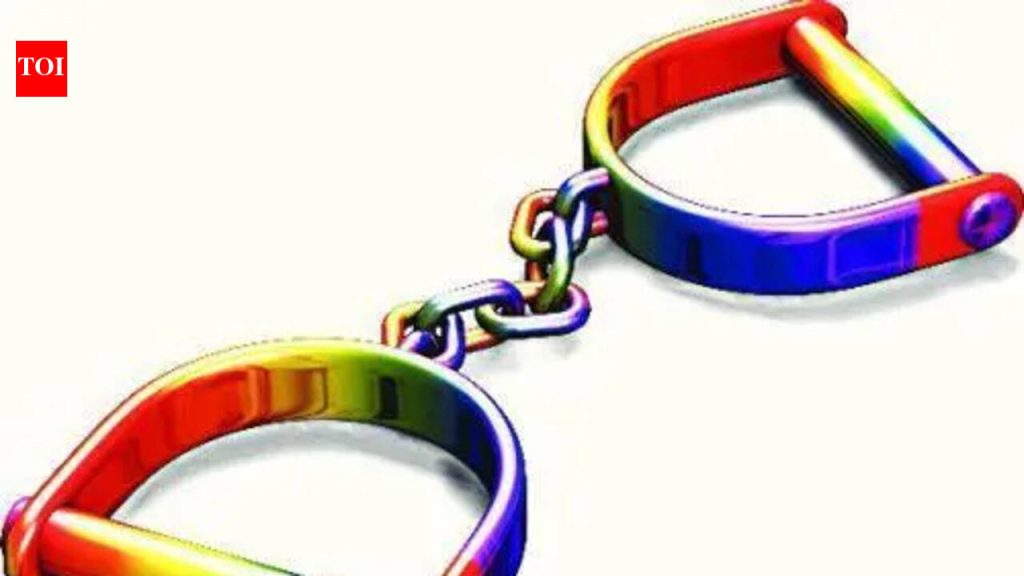 बंदुकीसह पकडलेल्या डिलिव्हरी मॅनकडून 8 पिस्तुले जप्त करण्यात आली