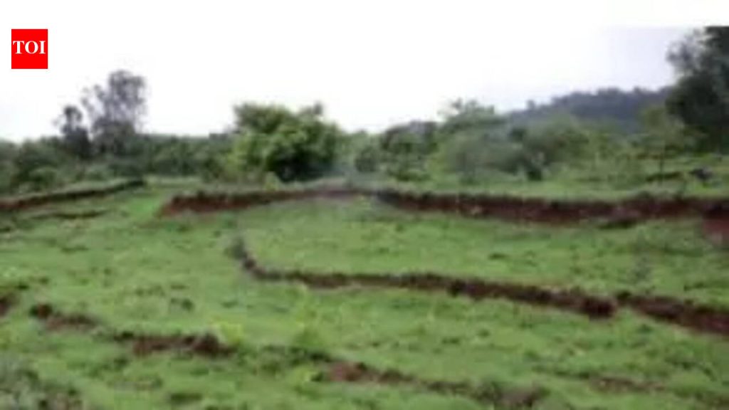 सरकार प्रस्तावित जमीन शीर्षक कायद्यांतर्गत सर्व भूखंडांसाठी मूल्यांकनासह प्रॉपर्टी कार्ड सादर करणार आहे