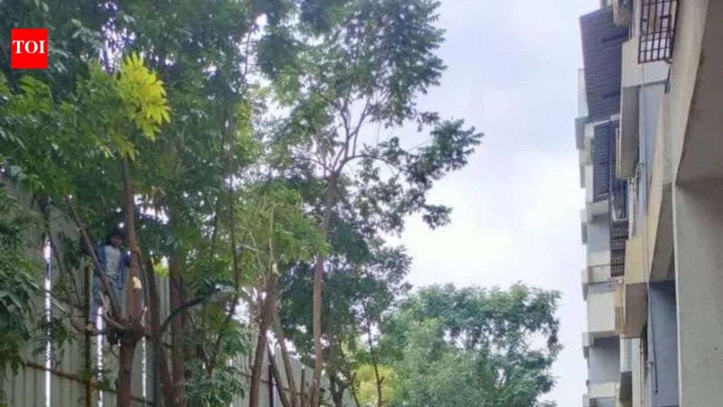 खाजगी सोसायट्यांमध्ये वृक्षतोड करण्यासाठी भाजप आमदाराची PCMC धोरणाची मागणी, अधिकाऱ्यांचे आव्हान