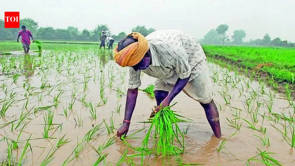 पुण्याच्या आयआयटीएममध्ये एआय-चालित मान्सून अंदाज प्रणाली विकसित करण्यात आली असून, शेतकऱ्यांना चार आठवड्यांची मदत करण्याचे आश्वासन दिले आहे.